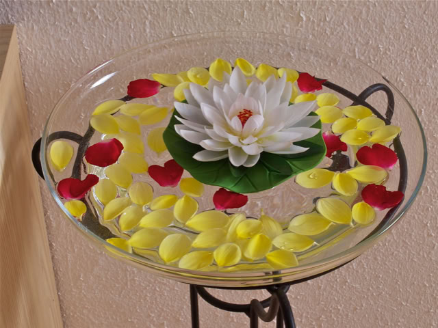 Galerie und Impressionen von einer Blumenschale